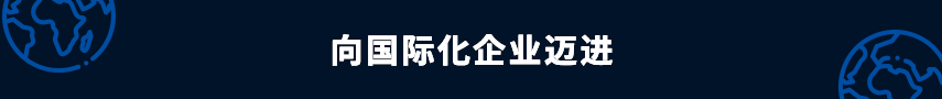 向国际化企业迈进